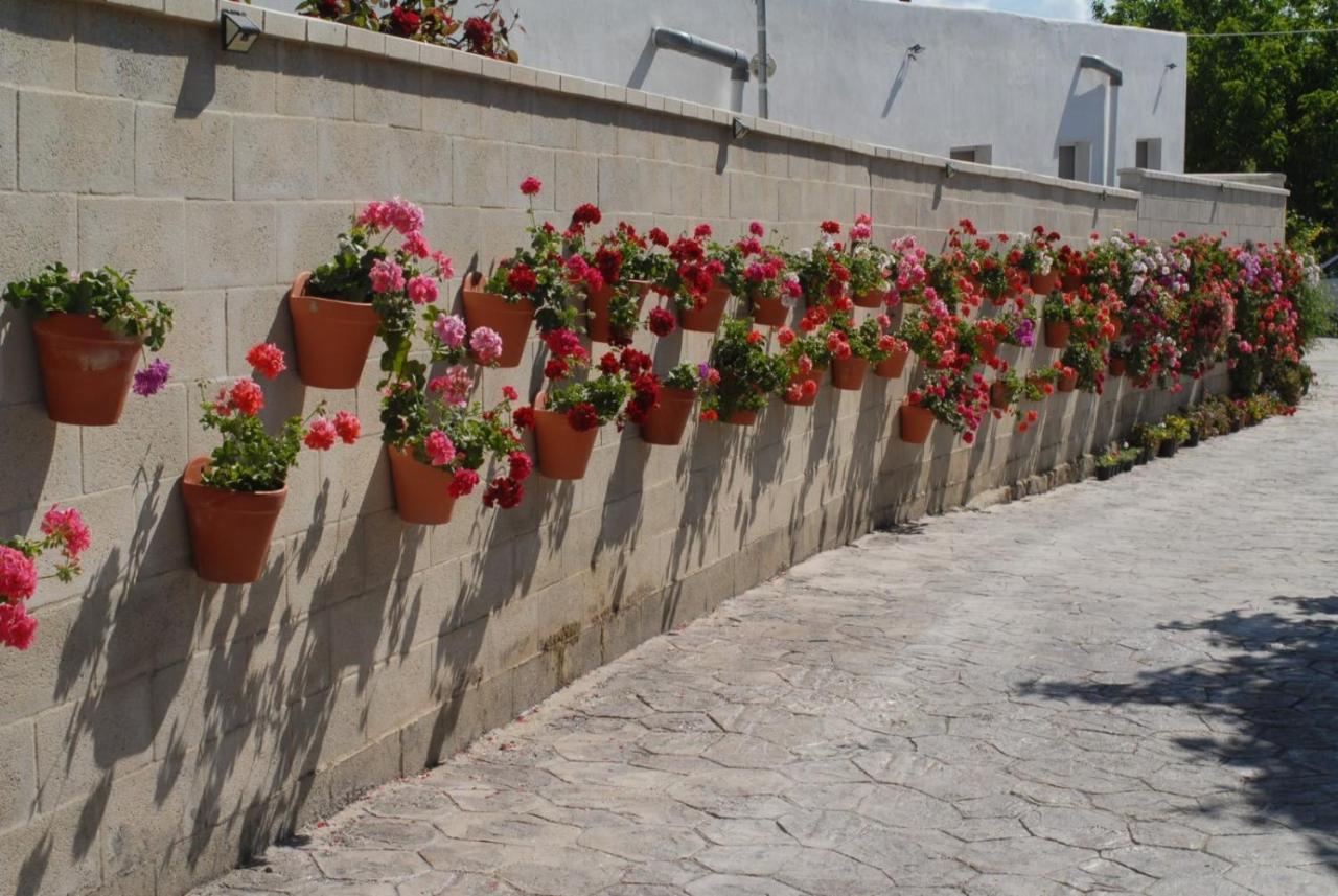 Pueblos Blancos Вехер-де-ла-Фронтера Екстер'єр фото